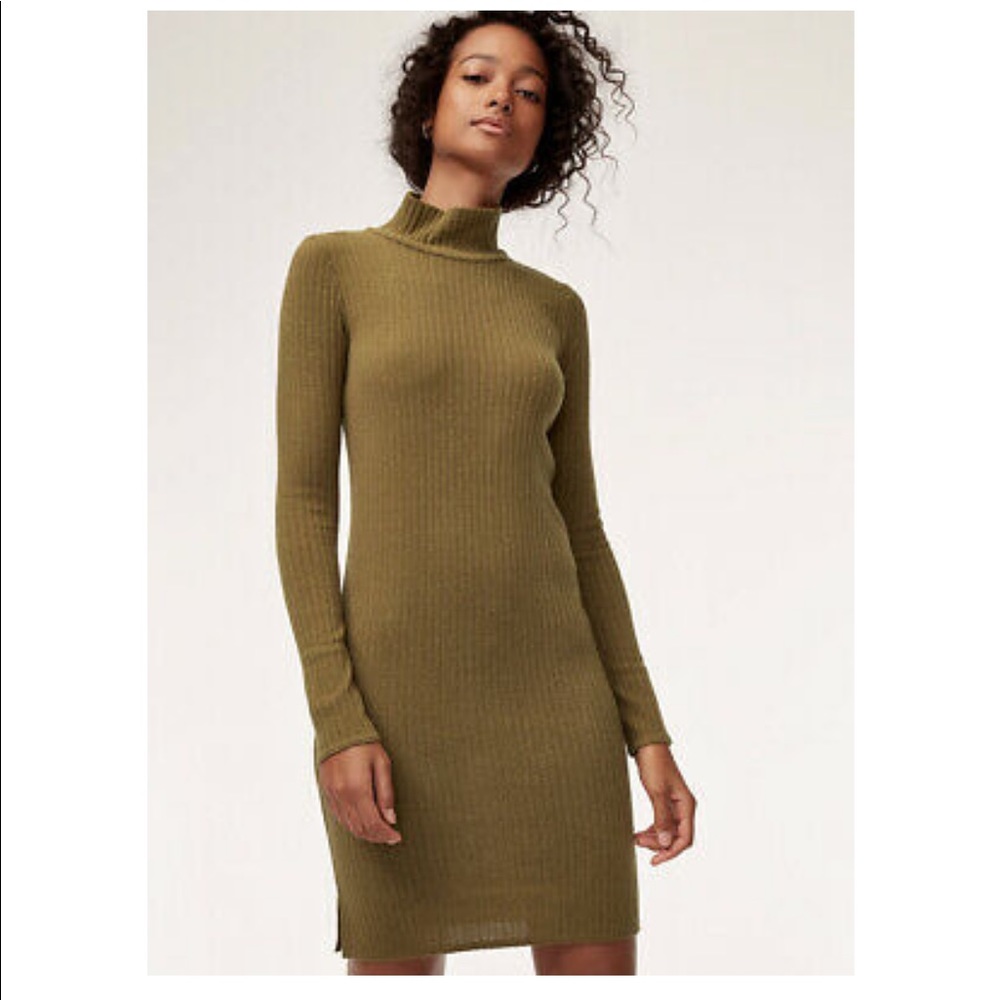 Aritzia Dress